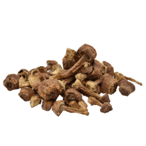 Organic agaricus blazei extract, Agaricus blazei extract