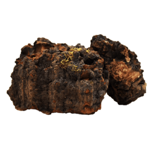 Organic chaga extract, Chaga extract