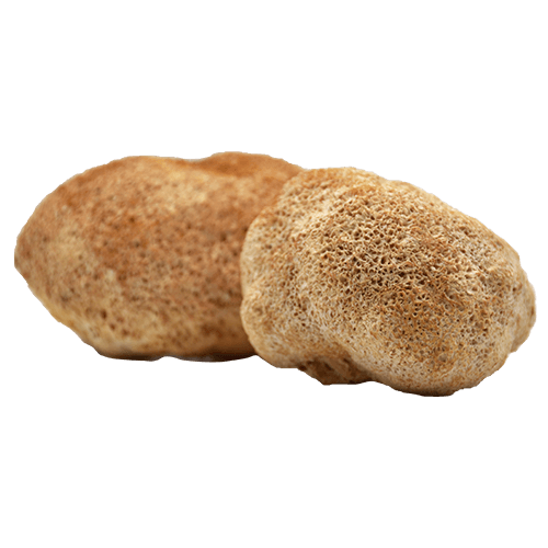 organic lion's mane extract, lion's mane extract