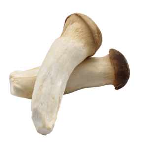 organic pleurotus eryngii extract, pleurotus eryngii extract