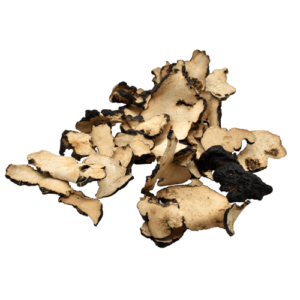 organic polyporus umbellatus, polyporus umbellatus