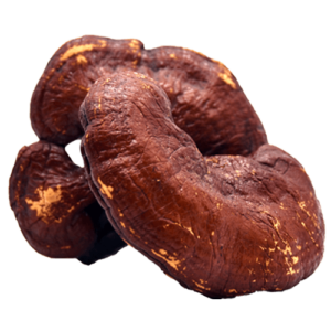 organic reshi extract, reshi extract