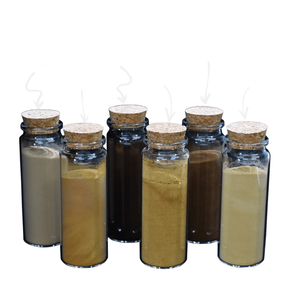 mushroom extract
