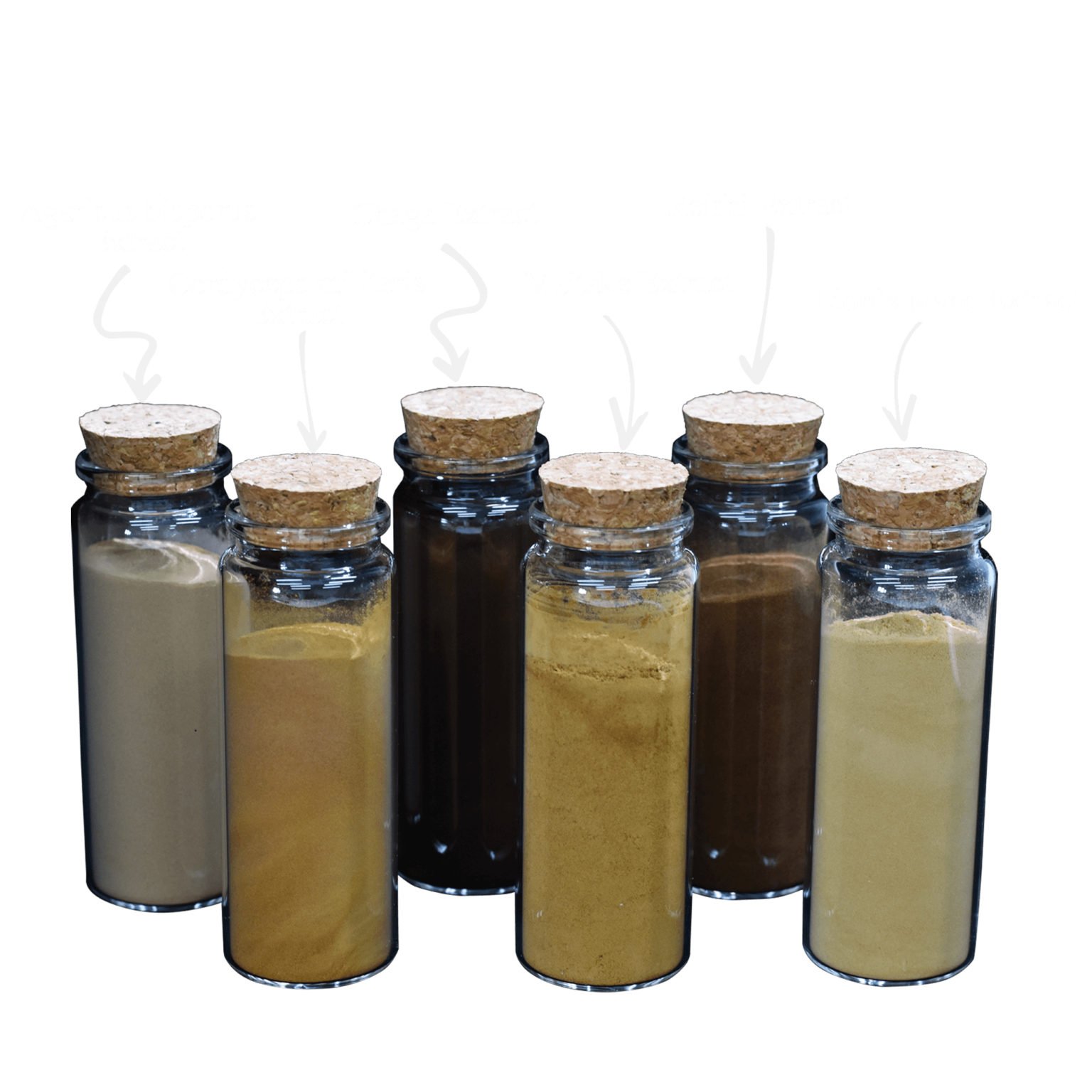 mushroom extract
