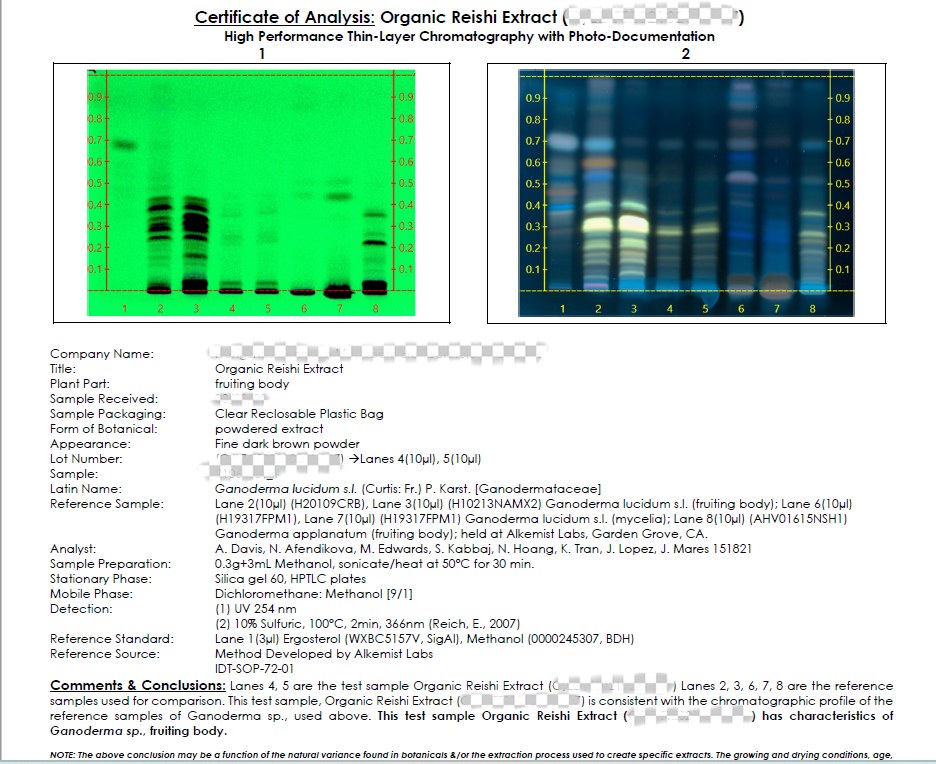Reishi_fruitbody_ID_test_Coming_Herb