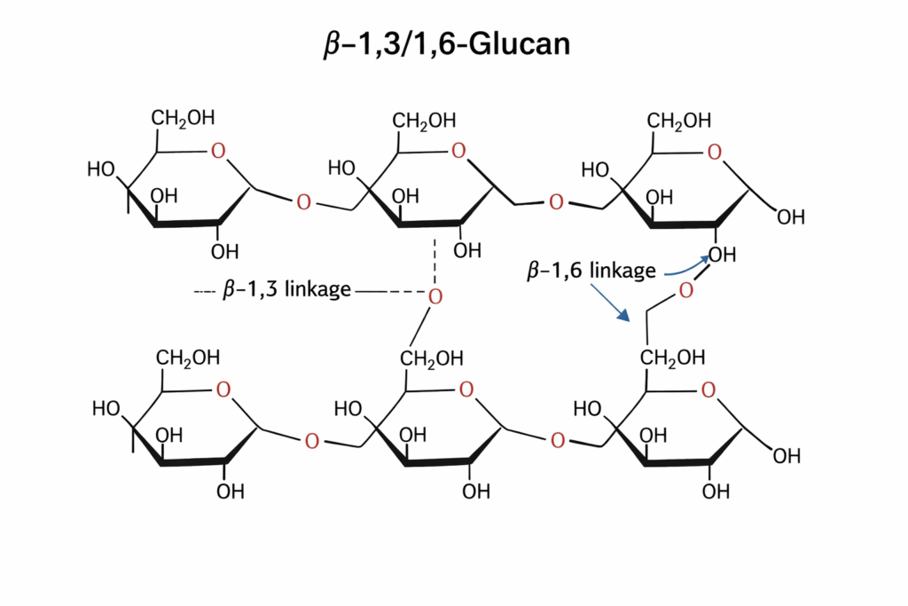 Beta-(1,3)(1,6)-glucan
