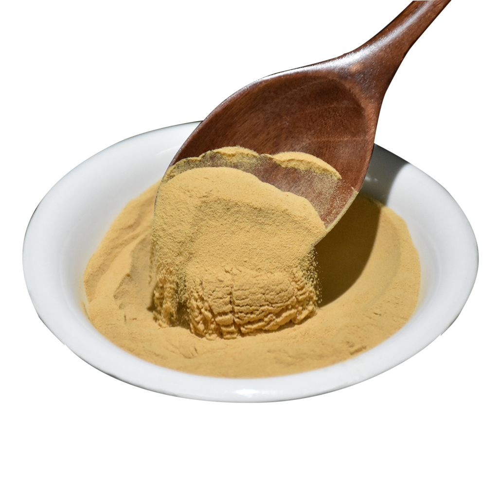 Mushroom Extract