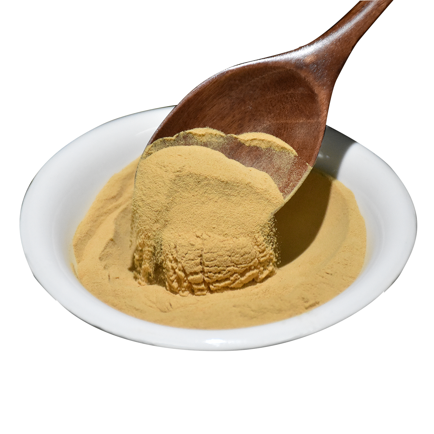 Mushroom Extract