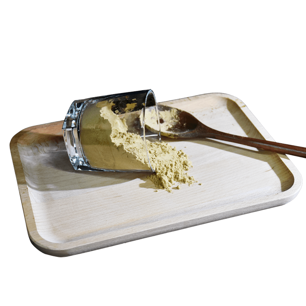 mushroom extract and mushroom powder_1000-1000