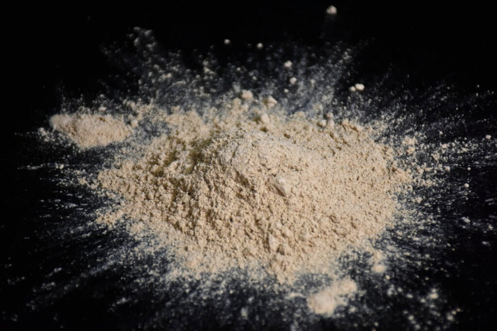 mushroom extract mushroom powder reishi extract