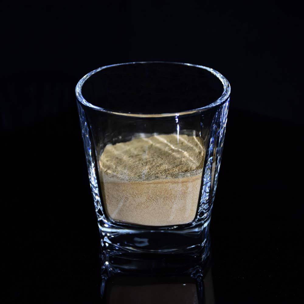 mushroom extract powder