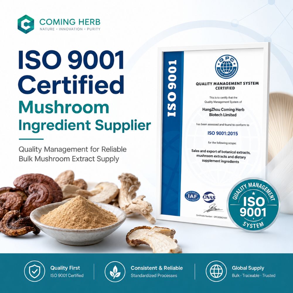 ISO 9001 Certified Mushroom Ingredient Supplier_Coming Herb